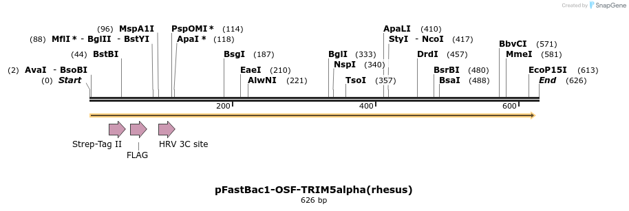 151492_map