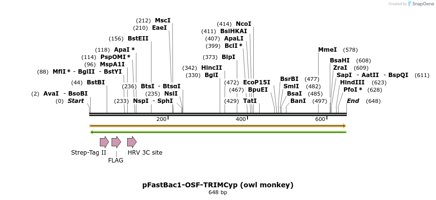 151496_map