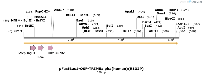 151505_map
