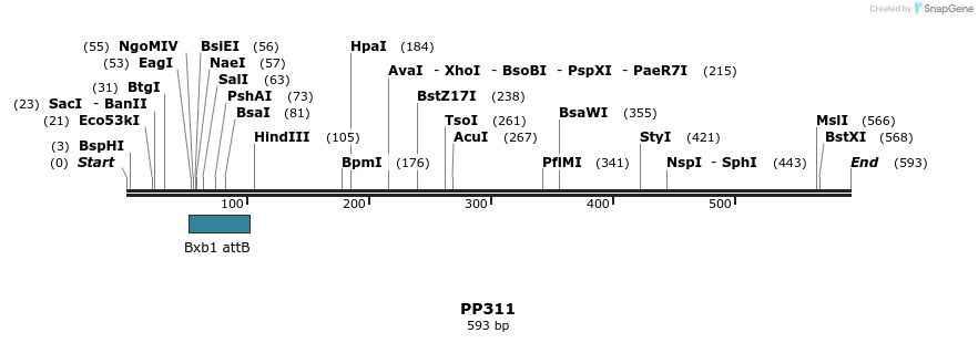 151510_map