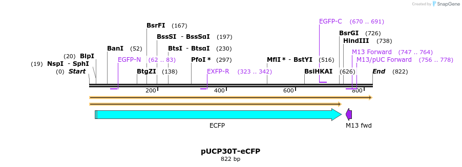 151519_map