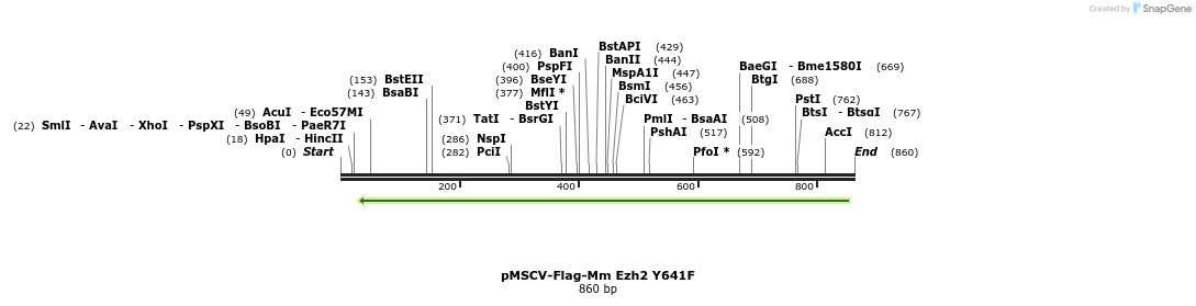 151546_map