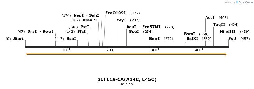 151552_map