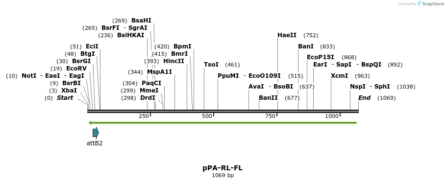 151573_map