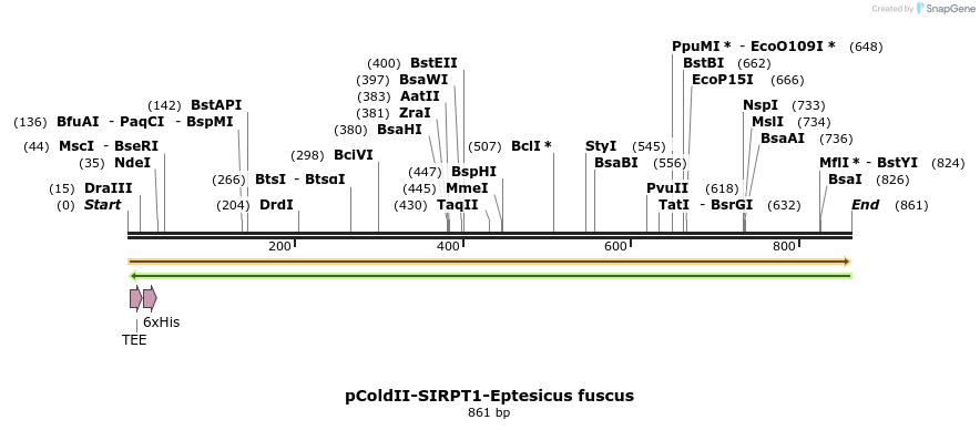 151622_map