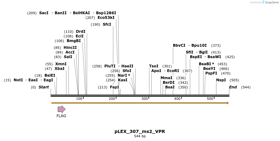 151656_map