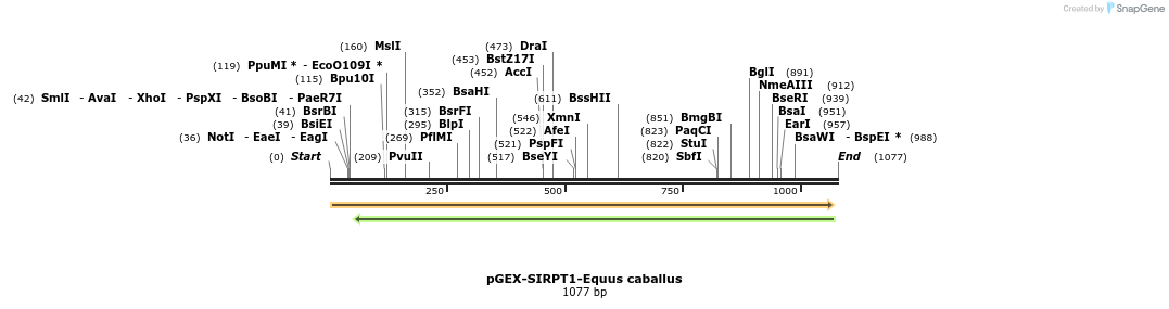 151659_map