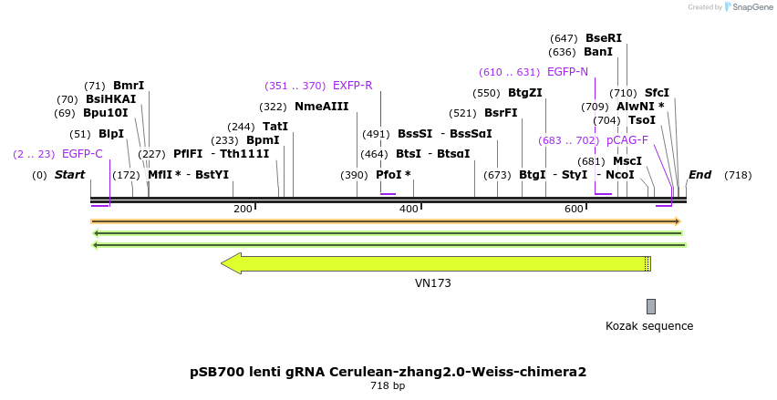 151668_map