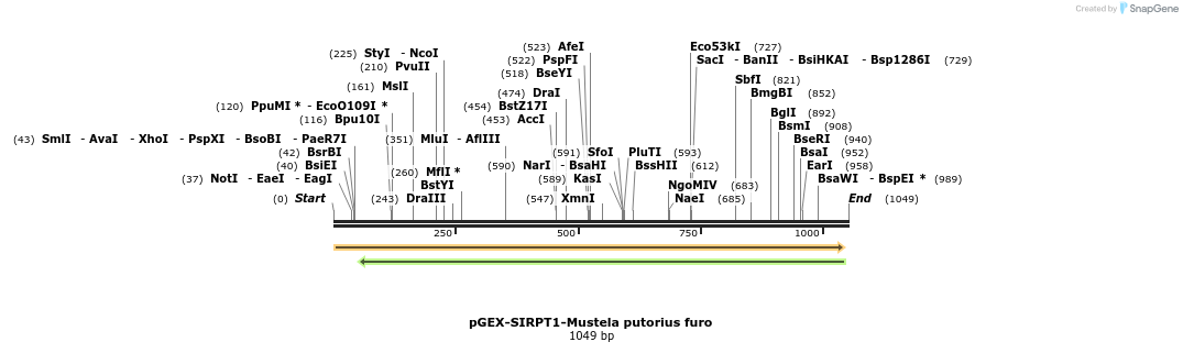 151674_map