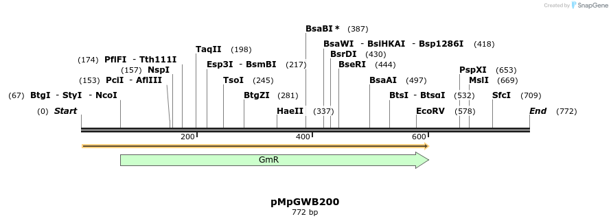 151685_map