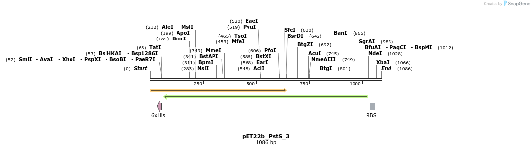 151690_map