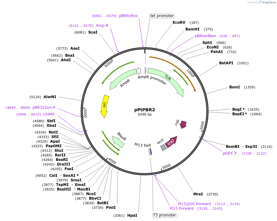151694_map