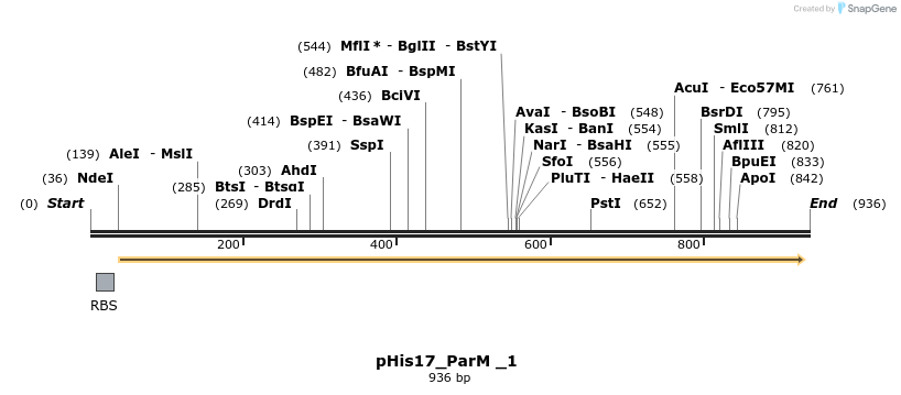 151696_map