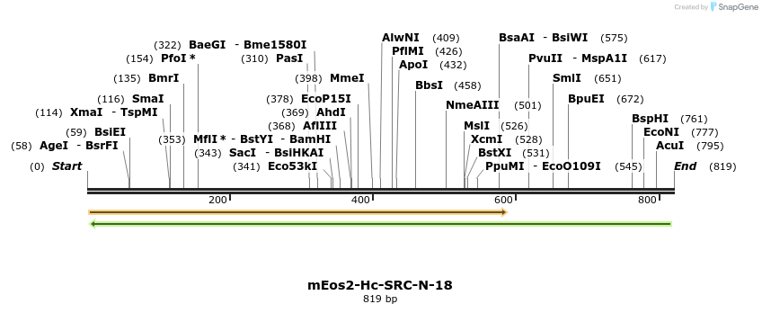 151699_map