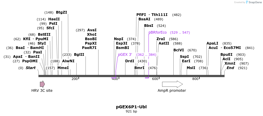 151700_map