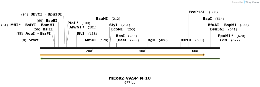 151706_map