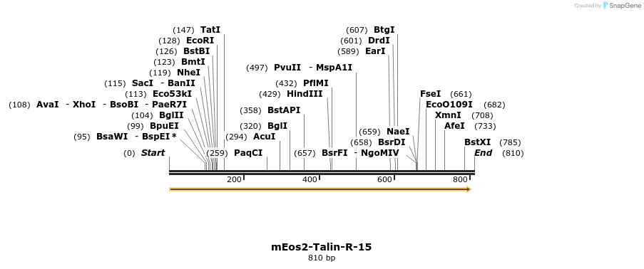 151707_map