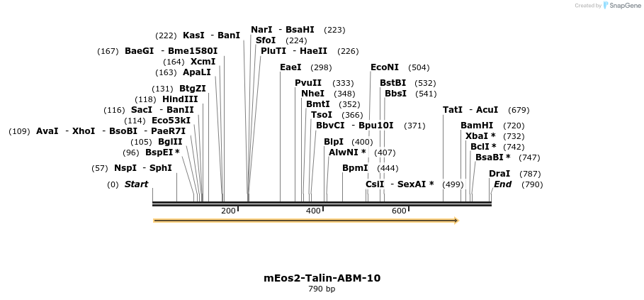 151709_map
