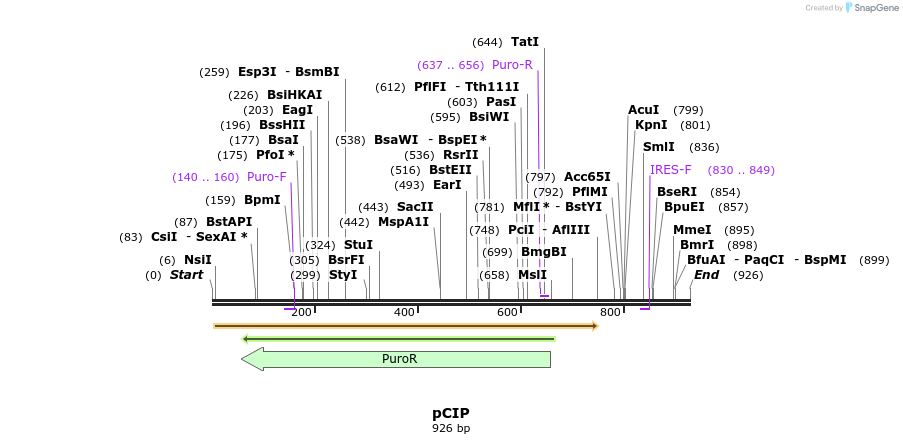151711_map