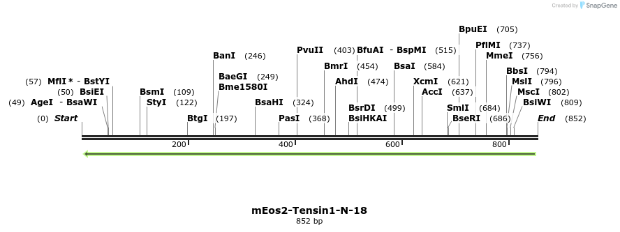 151715_map