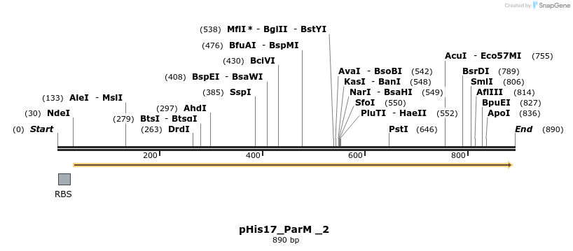 151718_map