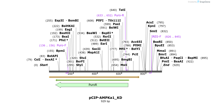 151720_map