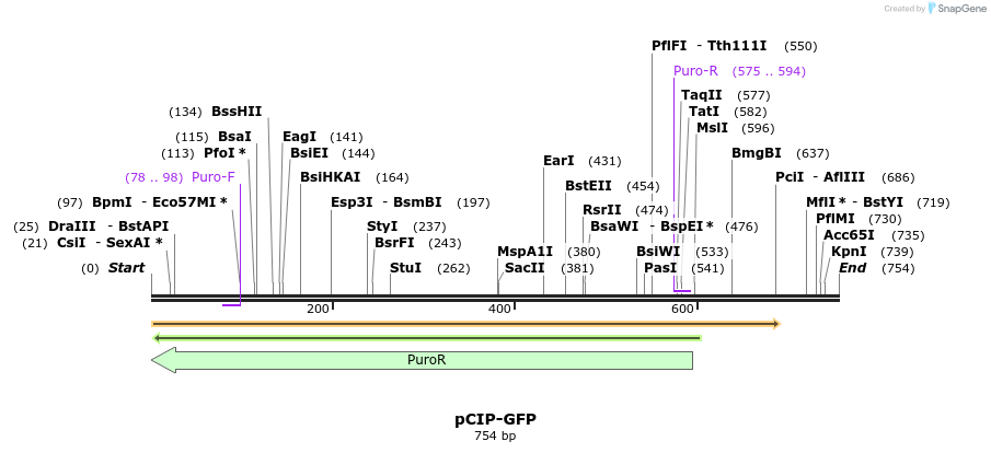151722_map