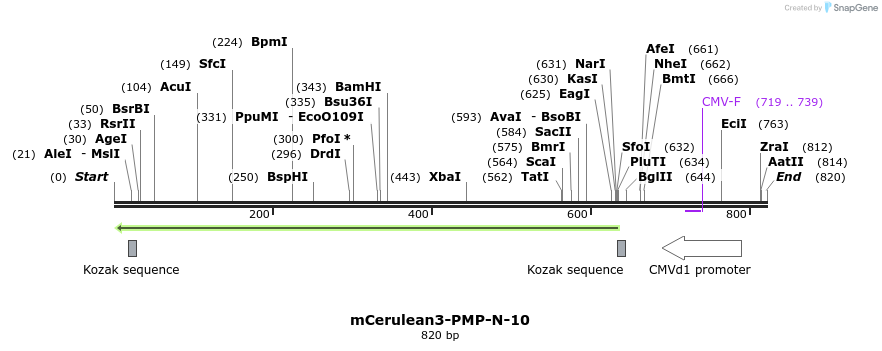 151728_map