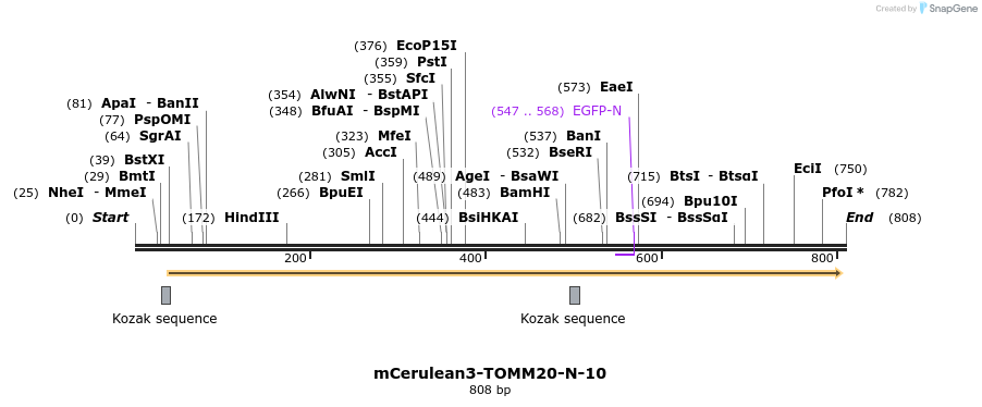 151733_map