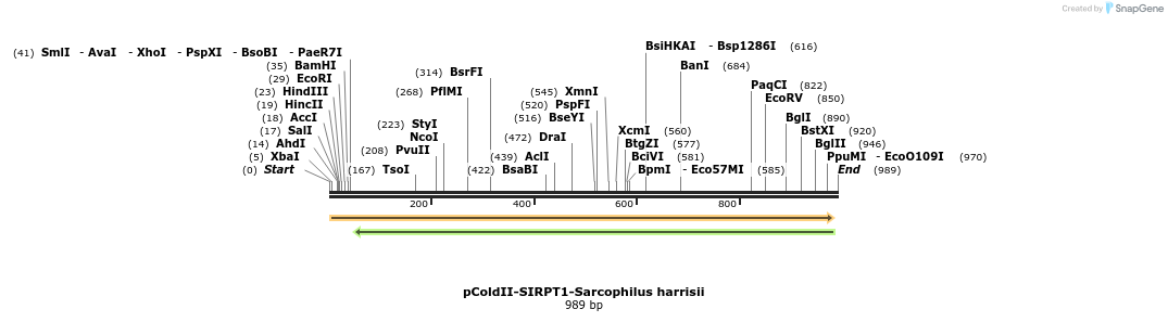 151734_map