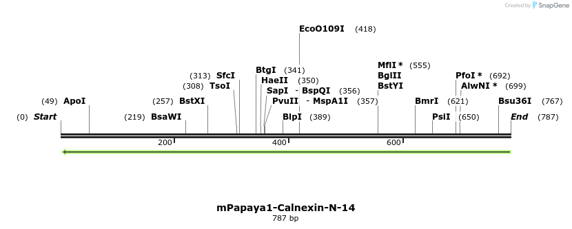 151735_map