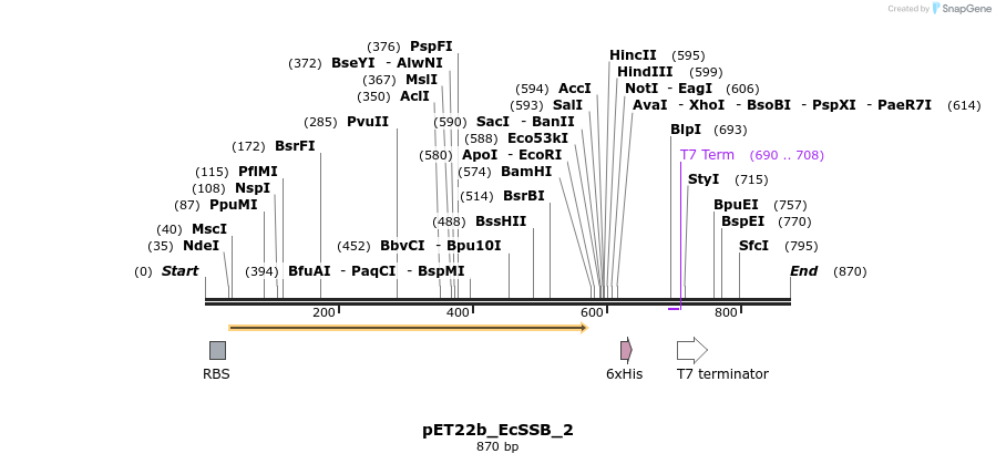 151738_map