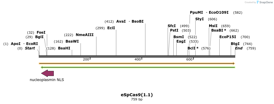 151742_map