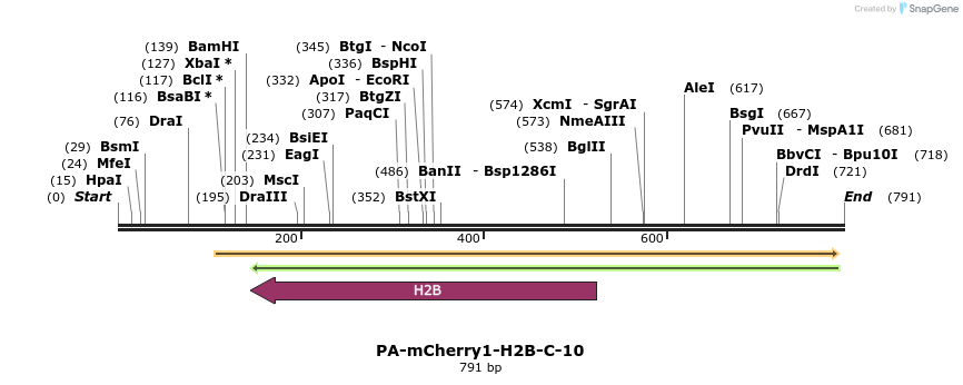 151745_map