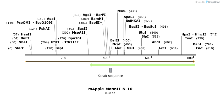 151747_map