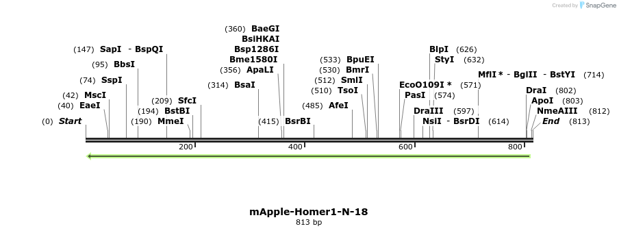 151751_map