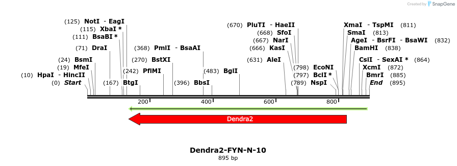 151755_map