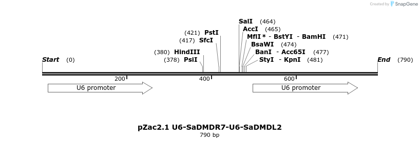 151761_map