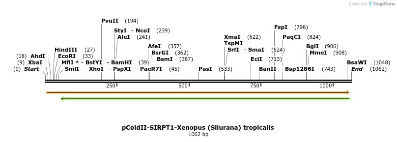151763_map
