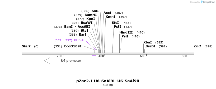 151768_map