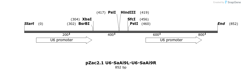 151770_map