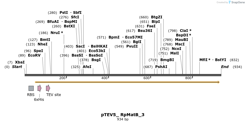 151777_map
