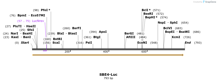 151779_map