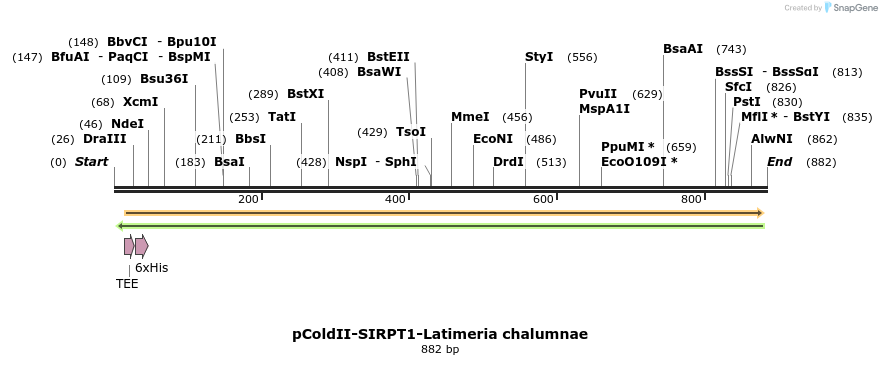 151780_map