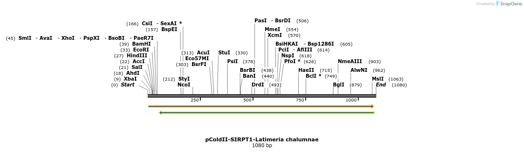 151782_map