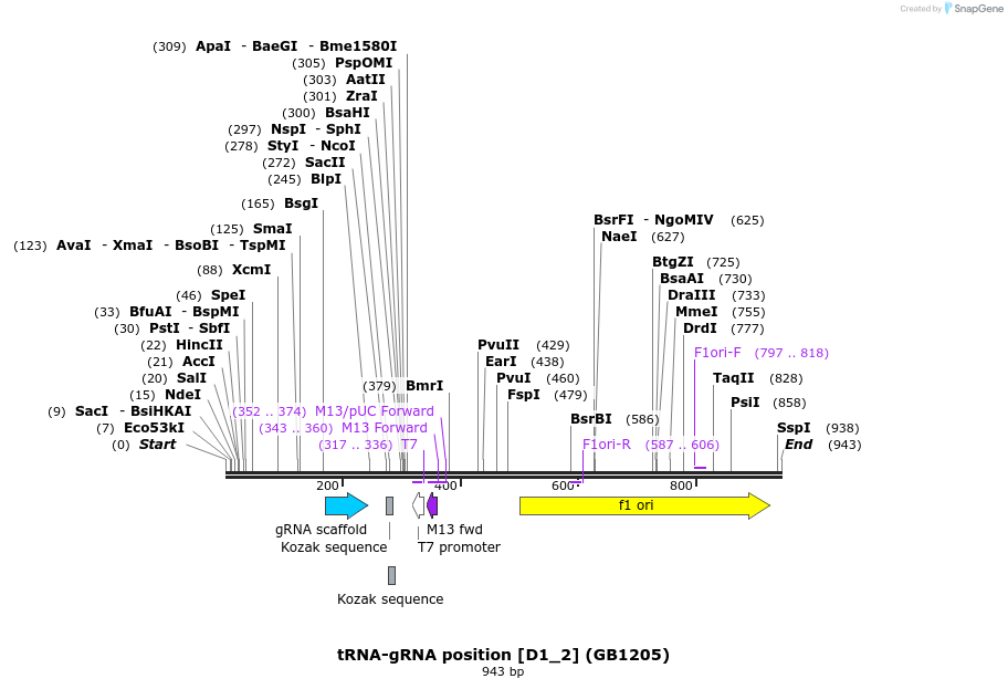 151794_map