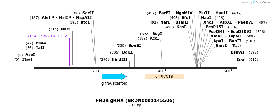 151805_map
