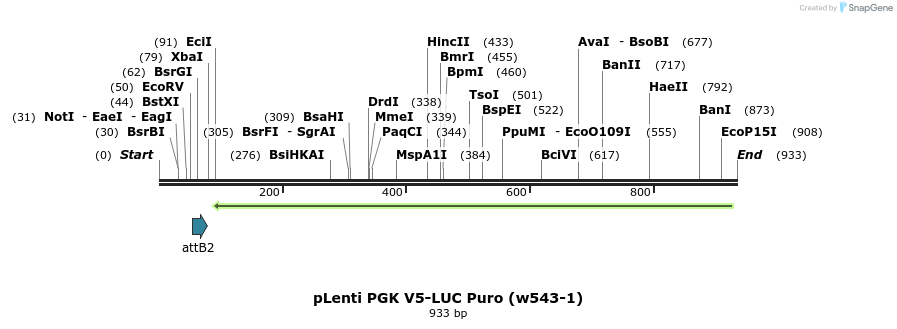 151813_map