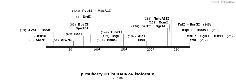 151816_map