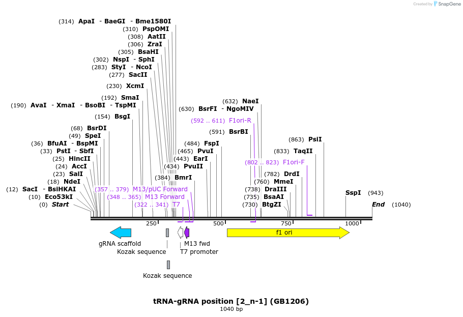 151819_map